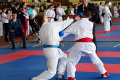 karate-samurai-34
