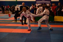 karate-samurai-1-14