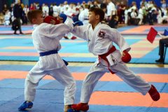 samurai-karate-39