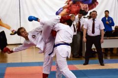 samurai-karate-44
