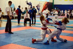 samurai-karate-46