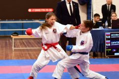 samurai-karate-49