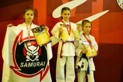 samurai-karate-8-4