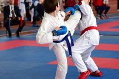samurai-karate-50-1