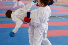samurai-karate-53