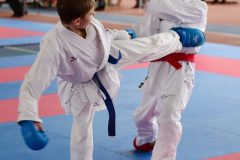 samurai-karate-83