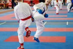 samurai-karate-87