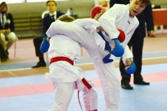 samurai-karate-88