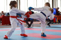 samurai-karate-92