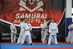 karate-samurai-14-10