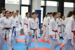 karate-samurai-66-2
