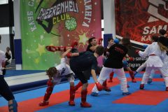 karate-samurai-70-2