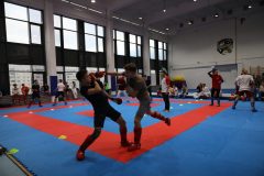 karate-samurai-73-2