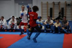 karate-samurai-74-2
