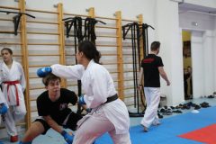 karate-samurai-79-2