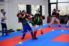 karate-samurai-87-1