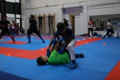 karate-samurai-94-1