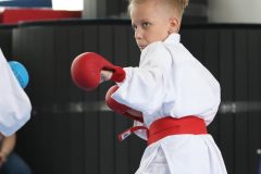 karate-samurai-132