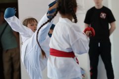 karate-samurai-143