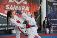 karate-samurai-157