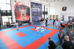karate-samurai-162