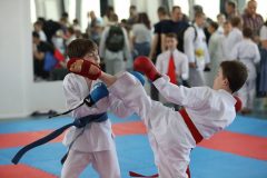 karate-samurai-167