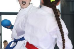 karate-samurai-170