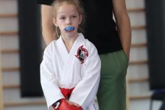 karate-samurai-186
