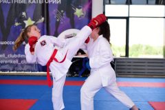 karate-samurai-199