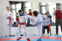 karate-samurai-210
