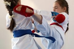 karate-samurai-211