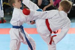 karate-samurai-212