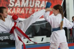karate-samurai-49
