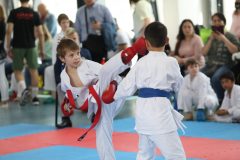 karate-samurai-65