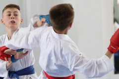 karate-samurai-68