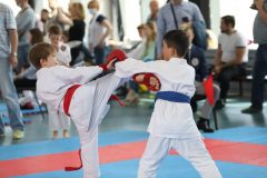 karate-samurai-78