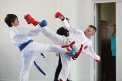 karate-samurai-84