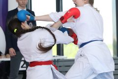 karate-samurai-99