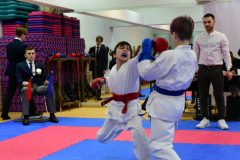 samurai-karate-16