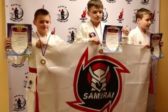samurai-karate-17