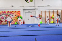 img_1241